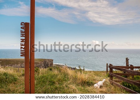 Tourist white poodle dog enjoys nature by Mizen head metal sign with Atlantic ocean and blue cloudy sky in the background. County Cork, Ireland. Popular travel destination. Warm day.