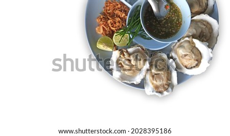 Isolated fresh oysters seafood on a white plate background - Open oyster shell with herb spices lemon rosemary served table and ice healthy.