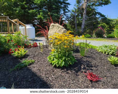 A blooming bush in a garden. There are roses, hosta plants, and bright yellow black eyed susans.