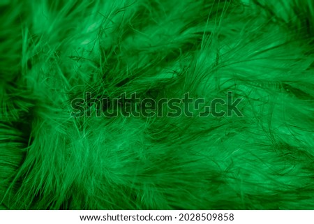 macro photo of green hen feathers. background or textura