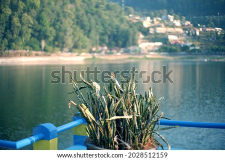 Grass with beautiful lake and blue sky