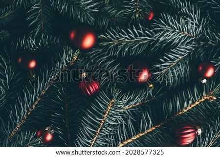 Christmas tree branches and festive decoration on wooden background. 