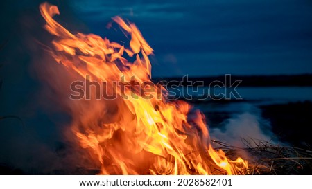 flames in the evening, macro photos, backgrounds, textures