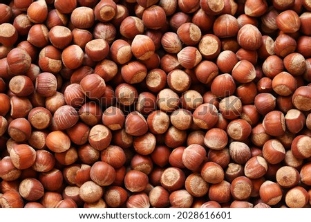 Photo of hazelnut. Hazelnut nut health organic brown filbert autumn background concept. Food background. Royalty-Free Stock Photo #2028616601