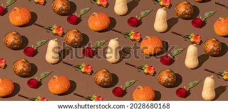 Creative pattern of autumn colorful pumpkins and flowers on a brown background. Creative seasonal thanksgiving background.