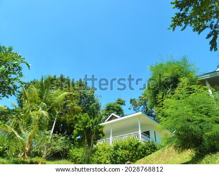 Tropical garden in front of blue sky and a bungalow on top of a hill