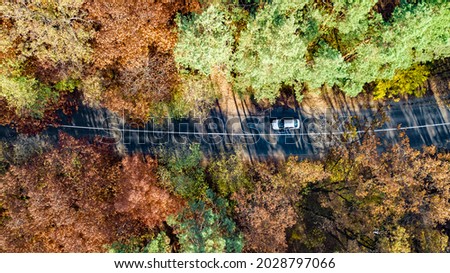 Aerial drone view of autumn landscape and road from above, yellow, green and red golden autumn trees and country road for cars
