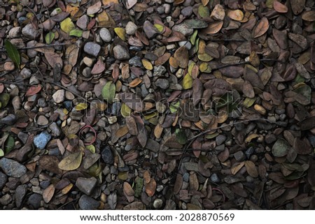 Full frame of various colorful pebble stones and dried leaves texture on the ground. Background textures concept.
