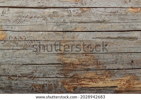 Old wooden background. Rustic log surface for design.