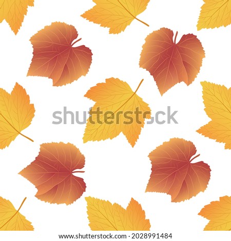 Vector graphic seamless pattern with autmn leaves on a white background