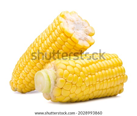 Two halves of ripe sweet corn isolated on white background. Fresh vegetable ingredients. Royalty-Free Stock Photo #2028993860