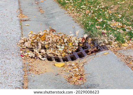 Storm sewer grate clogged with leaves. Flooding prevention, surface water runoff and public infrastructure concept. Royalty-Free Stock Photo #2029008623