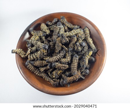 Dried edible mopane worms (Gonimbrasia belina), a type of emperor moth, a popular African delicacy