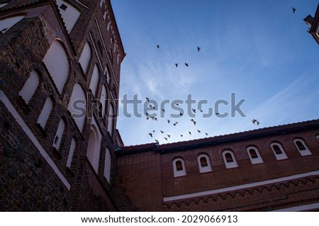 Birds doves and crows fly over the castle in the blue sky