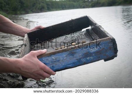 Treasure hunter is picking a golden ore from dirty metal grid on the river water background. Sifting gold concept.