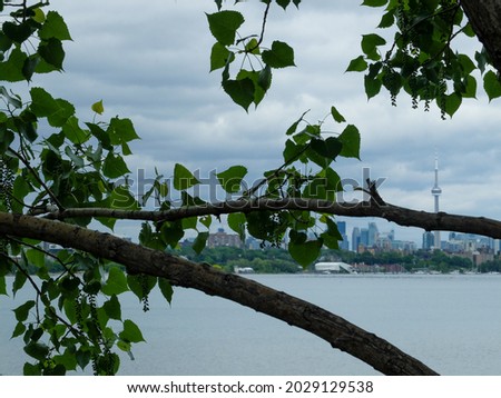 Tree branch in the foreground and Toronto skyline view on a cloudy day.