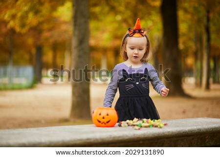 Adorable toddler girl in black cat dress with tutu skirt trick-or-treating with orange pumpkin bucket. Happy kid celebrating Halloween in Paris, France