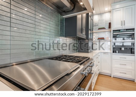 Luxurious high end kitchen with stainless appliances marble and glass tile Royalty-Free Stock Photo #2029172399