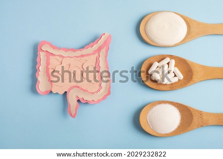 Intestine decorative model with various nutritional supplements. Healthy digestion concept, probiotics and prebiotics for microbiome intestine. Top view Royalty-Free Stock Photo #2029232822