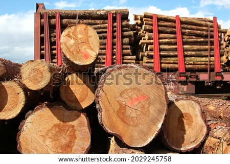 logs at railway before transport