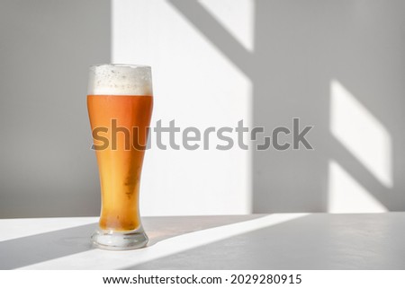 Glass of beer on table against white wall with graphic shadows. Minimalistic still life with natural light. Oktoberfest. Copy space