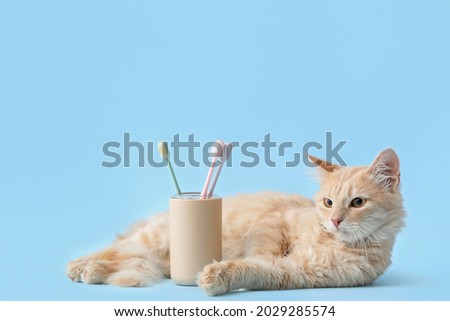 Cute cat with tooth brushes on color background Royalty-Free Stock Photo #2029285574