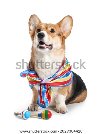 Cute dog with maracas on white background