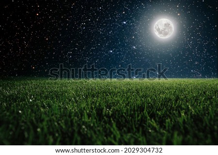 Green field on the background of the night sky.  Elements of this image furnished by NASA
