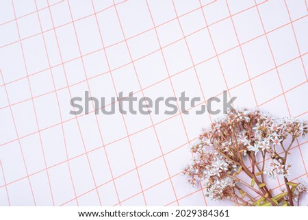 Artistic background. Fresh pink wildflowers on a pink background