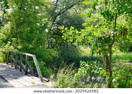 Beautifully standing old wooden bridge over river in colored background close up. Photography consisting of old wooden bridge above river in foliage. Old wooden bridge at river for natural wild park.