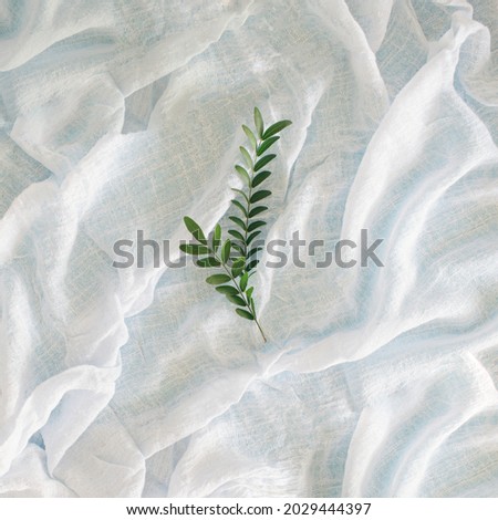 green branch with small leaves on a soft light blue textile background like a wave.seasonal design