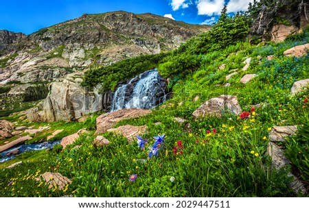 A stream on the mountainside. Mountainside flowers Royalty-Free Stock Photo #2029447511