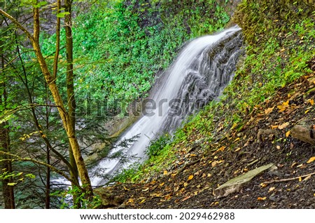 Waterfall flowing down a ravine in the middle of a wooded area.