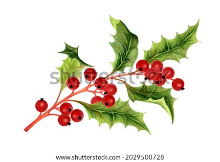 Christmas holly berry symbol for print, poster, packaging, textiles, fabric. Watercolor illustration