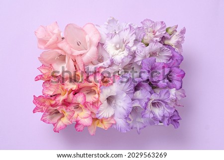 Pastel creative modern bouquet of gladiolus flowers in the form of a rectangle. Ornate poster.