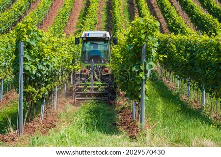 A winemaker drives his tractor through his vineyard in Rheinhessen - Germany and loosens the soil  Royalty-Free Stock Photo #2029570430