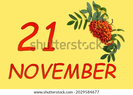 Rowan branch with red and orange berries and green leaves and date of 21 november on a yellow background.