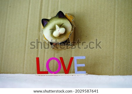 Cute little cat toy poke head outside cardboard there is a Love text on the front.