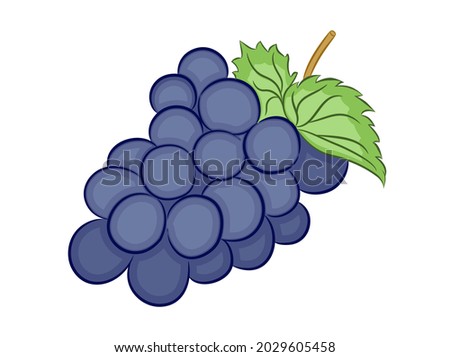 Grape illustration of vegetables in cartoon flat style.