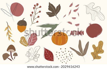Elegant collection of fall season objects with leaves, pumpkin, mushroom, acorn, flowers, maple leaf, branches, abstract shapes and textured autumn text. Vectorized, flat style, muted colors. 