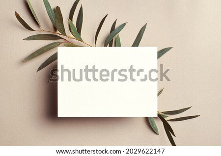 Invitation or greeting card mockup with natural eucalyptus twigs frame. Blank card mockup on beige background.