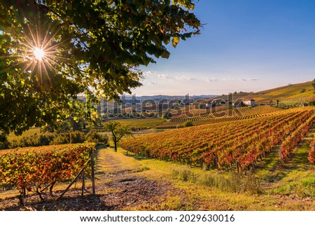Panorama of the vineyards, in autumn, in the Langhe, Piedmont, Italy Royalty-Free Stock Photo #2029630016