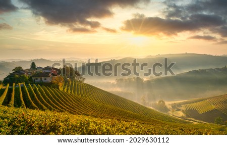 Panorama of the vineyards, in autumn, in the Langhe, Piedmont, Italy Royalty-Free Stock Photo #2029630112