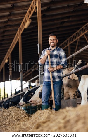 Portrait of adult man, giving the cows the proper care.