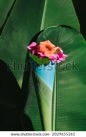 Creative arrangement made with natural summer leaves with paper cone and orange pink flowers. Minimal artistic background.