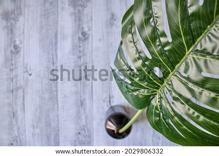 A studio photo of a day spa background