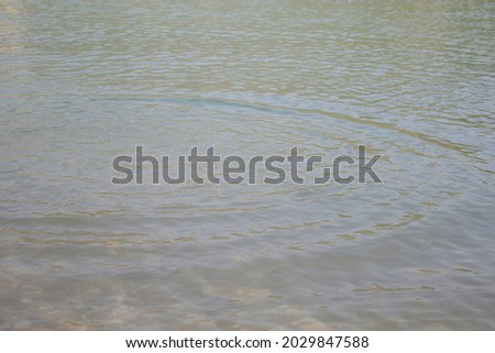 beautiful lake's water texture - image