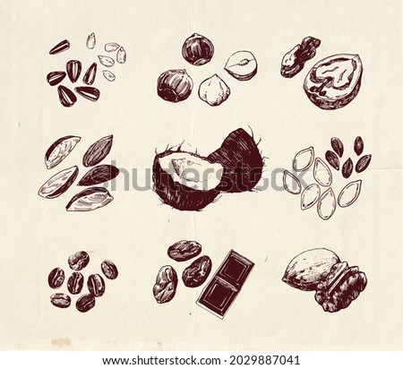 Hand drawn illustration, vintage drawing of nuts and seeds, healthy eating set