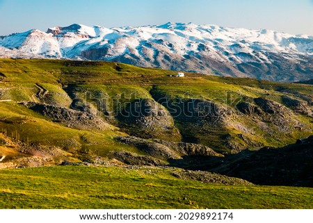Endless Green field and a mountain covered by snow  