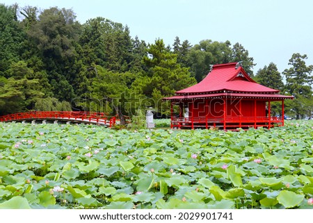 Summer Saruka Park Saruka Shrine, Kamibashi, Kagamigaike, and Lotus Flower, Hirakawa City, Aomori Prefecture Royalty-Free Stock Photo #2029901741